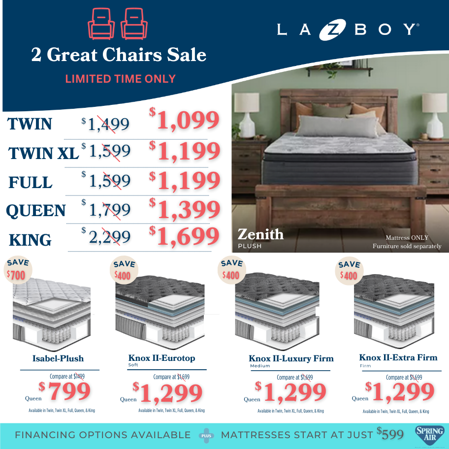 2 Great Chairs-Mattress Insert-1 2 Great Chairs-Mattress Insert-1