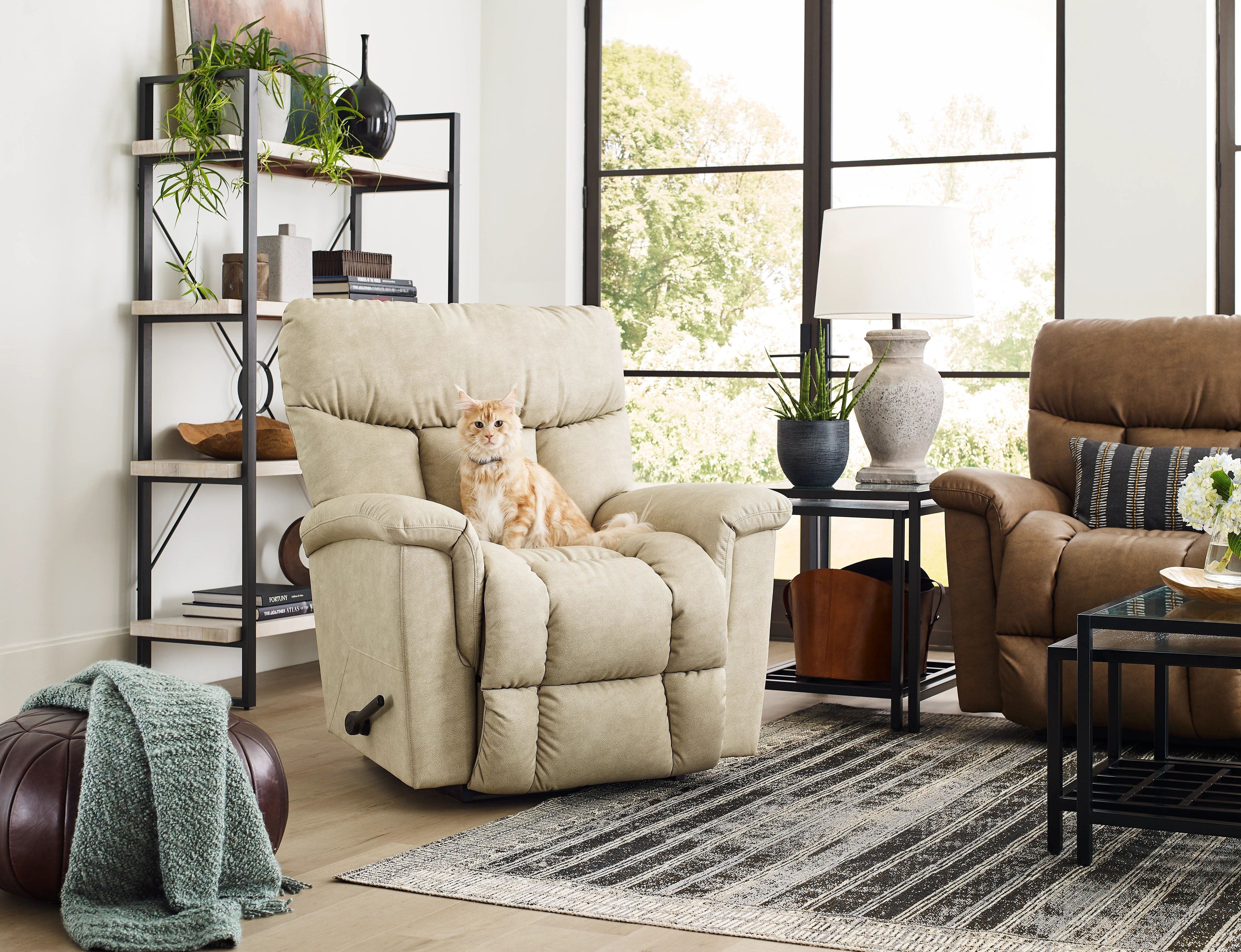 ready to find the furniture for you and your pet?