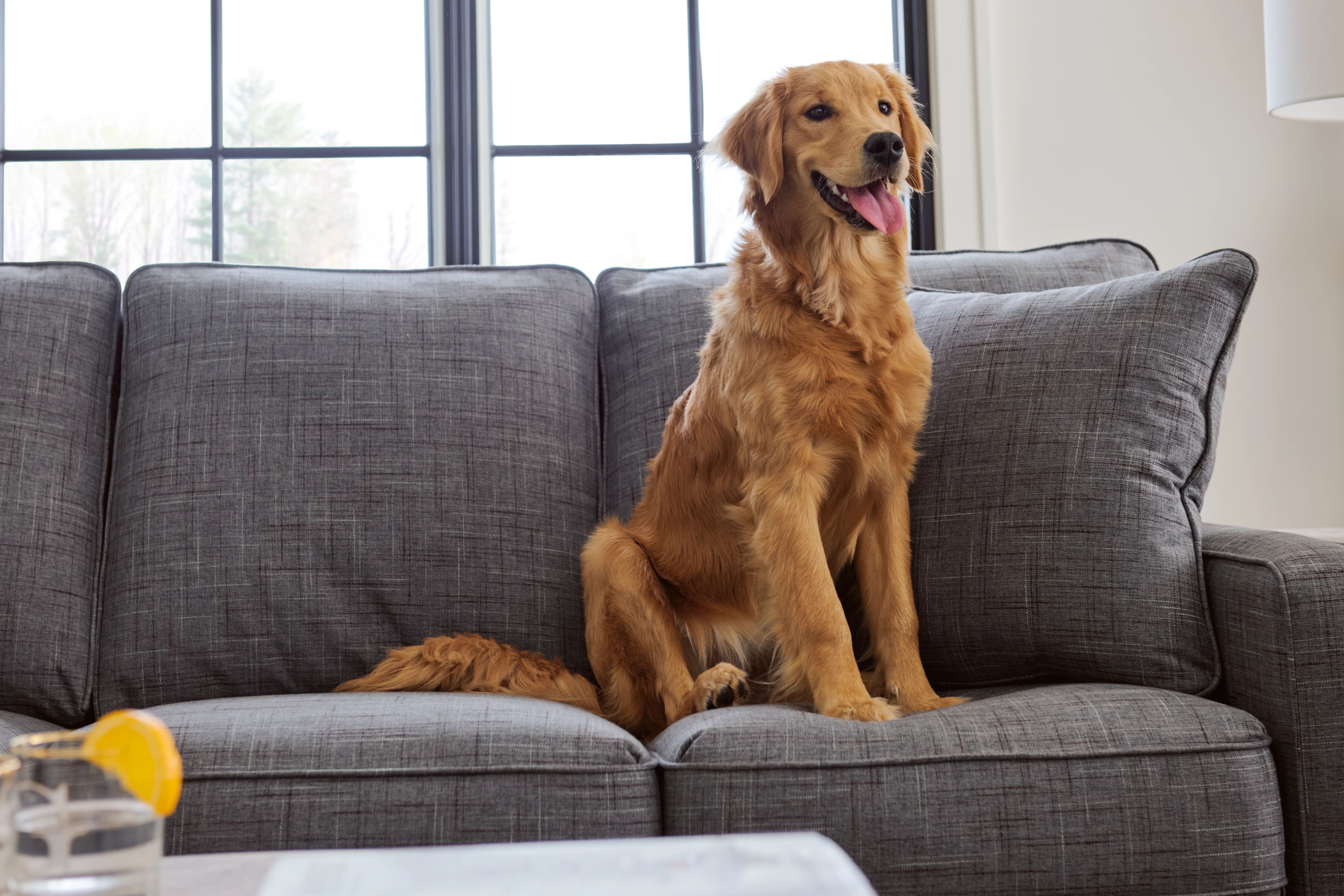 ready to find the right furniture for you?