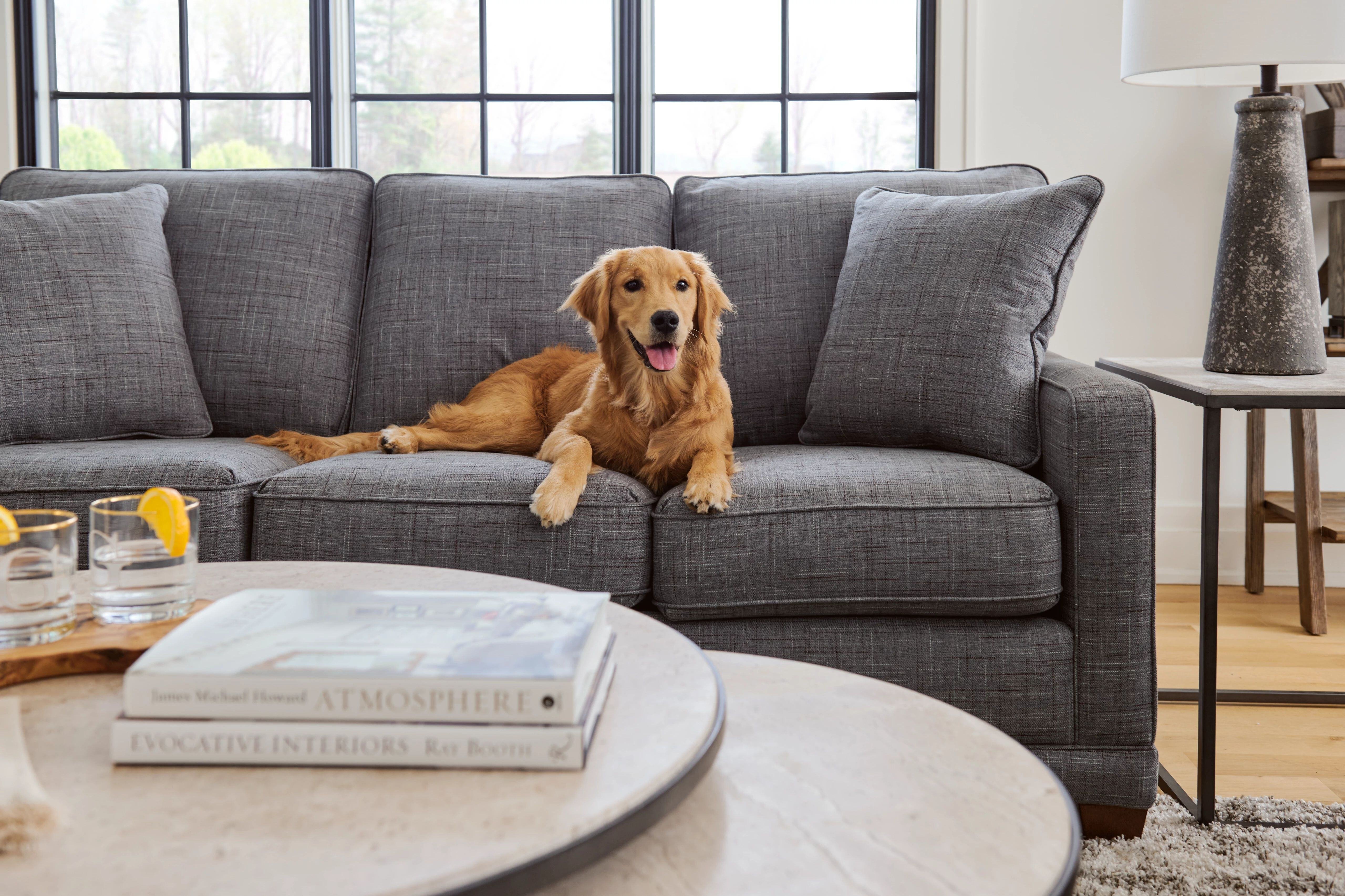 fabric furniture is best for pets