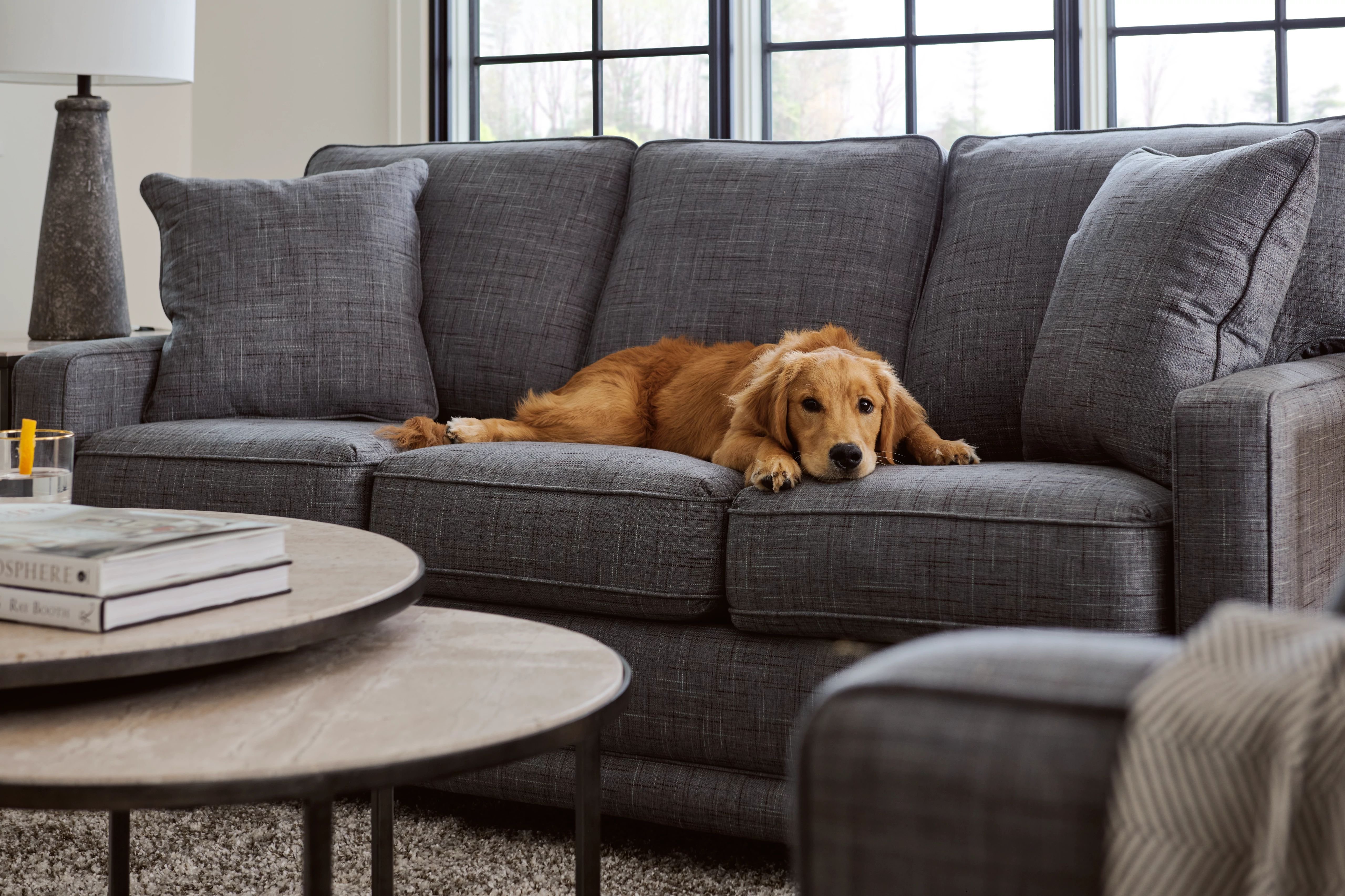 choose pet friendly colors and patterns