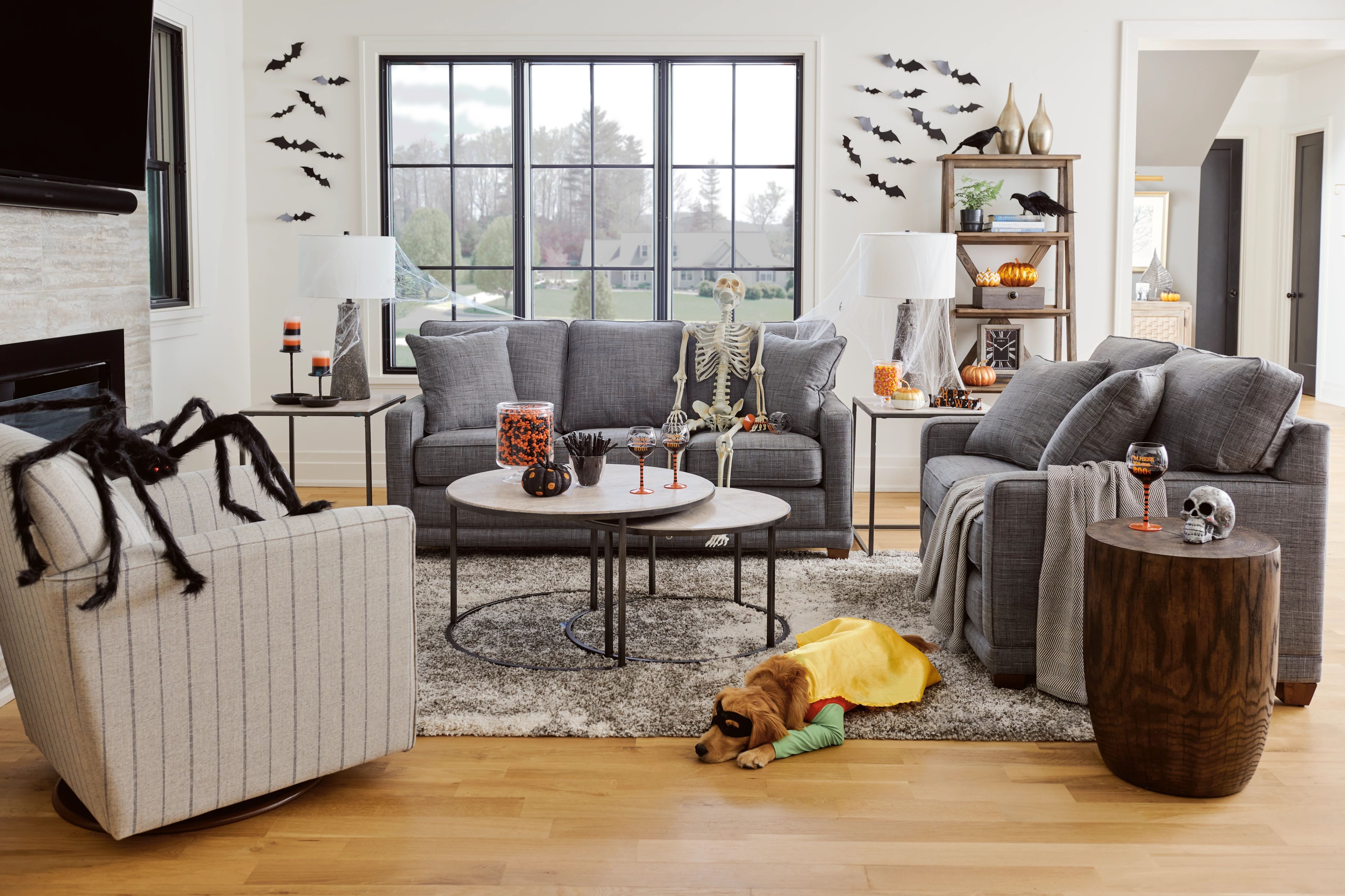 consider furniture with built in pet protection